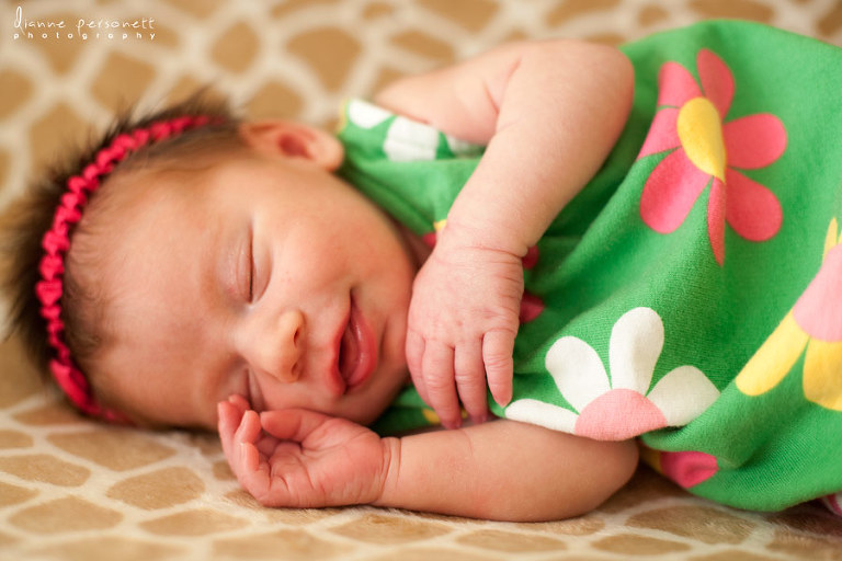 NC newborn photography