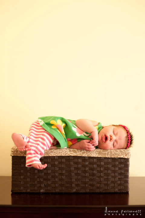 NC newborn photography