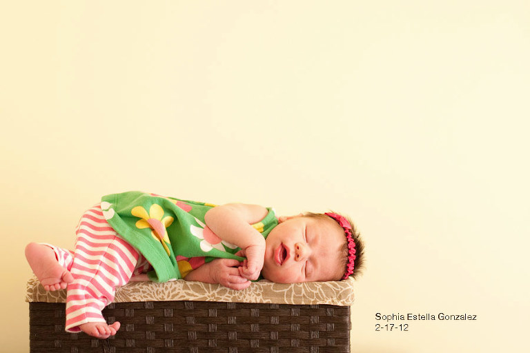 charlotte newborn photography