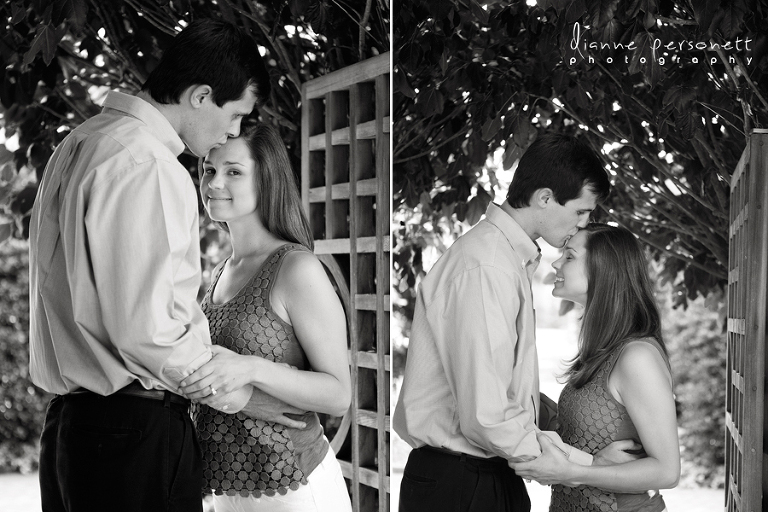 Daniel Stowe Botanical gardens engagement session