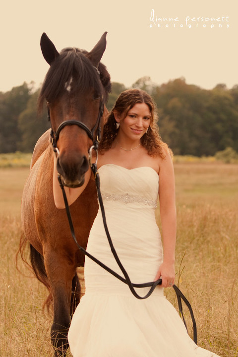 bridal session in charlotte with horses