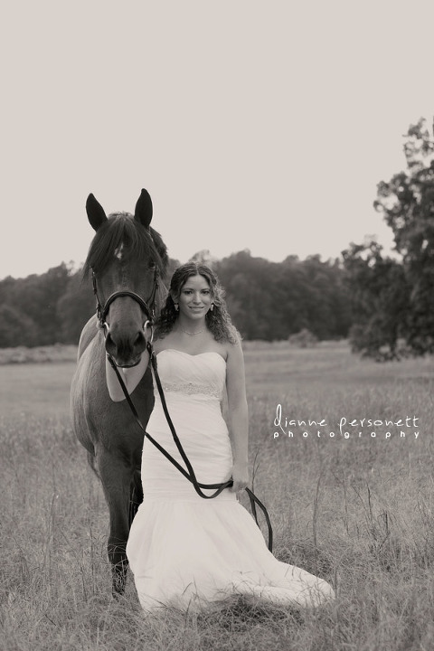 bridal session in charlotte with horses