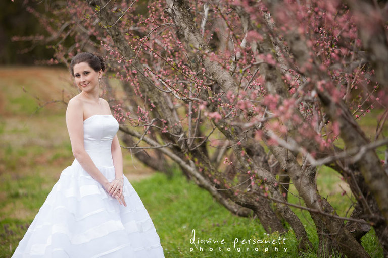 the Dairy Barn Fort Mill bridal session