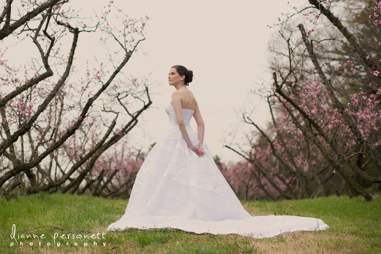 the dairy barn bridal photos