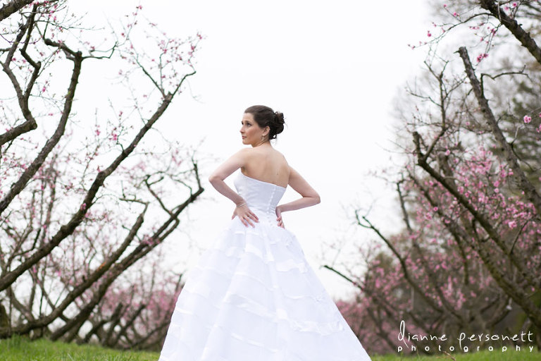 the Dairy Barn Fort Mill bridal session