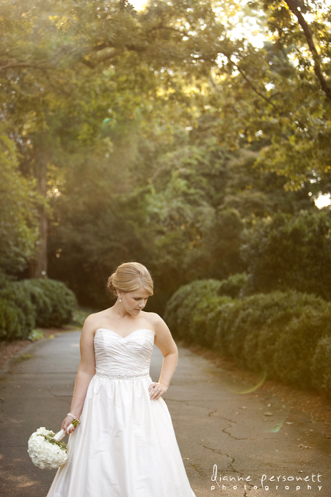 charlotte wedding photographers