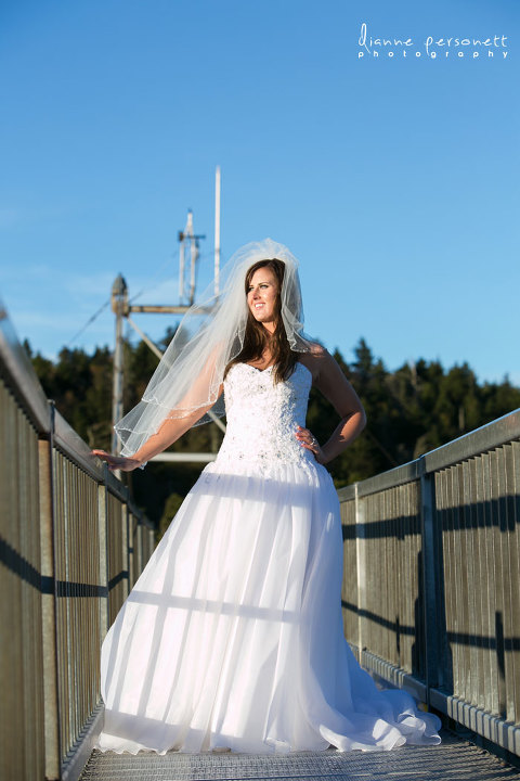 grandfather mountain bridal photos