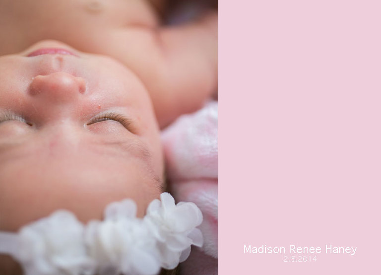 charlotte newborn photographer