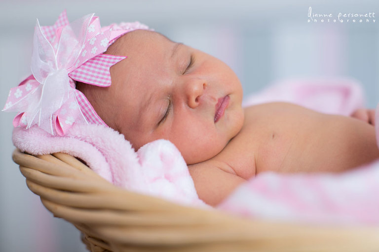 charlotte newborn photography