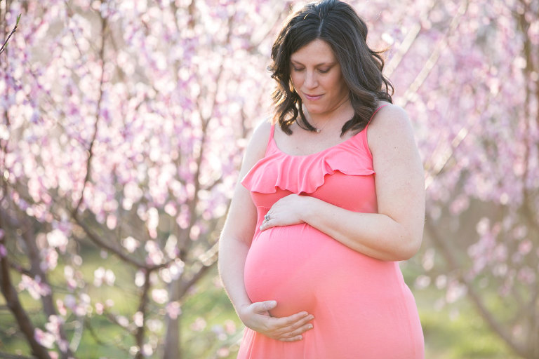 charlotte maternity photos