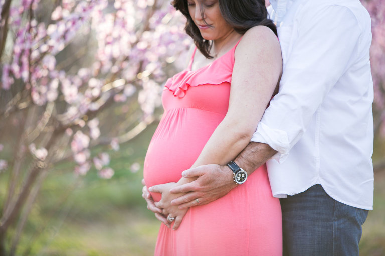 charlotte maternity photos