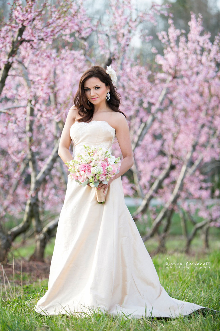 spring inspiration bridal shoot